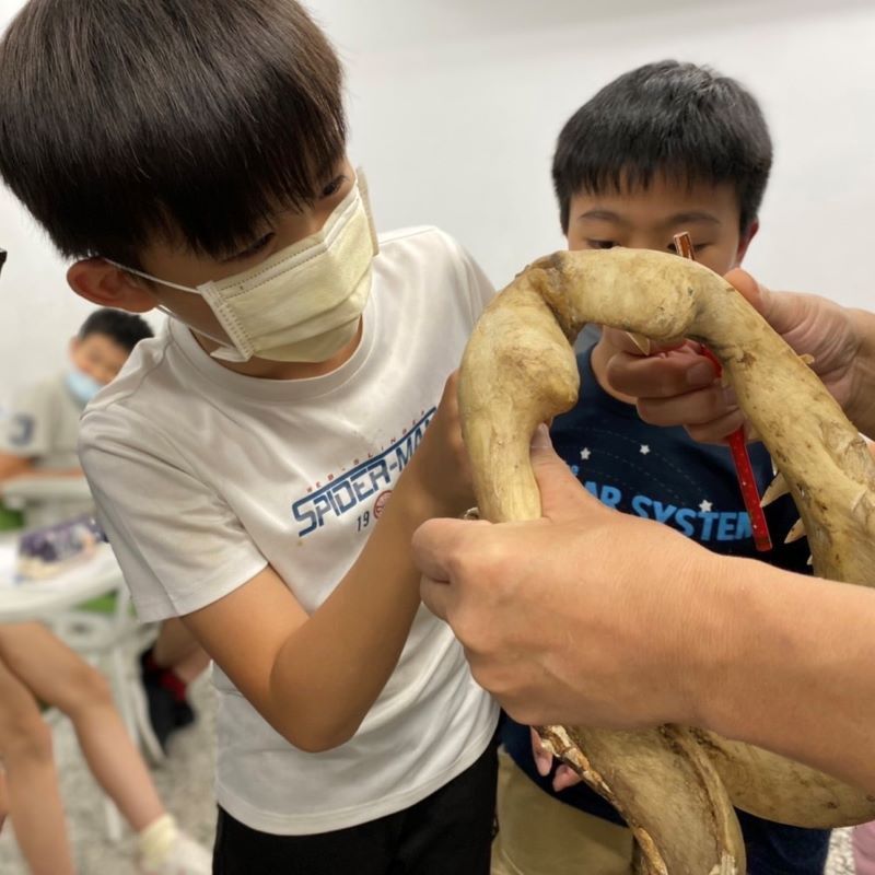 探索大自然奧妙　啟發好奇心